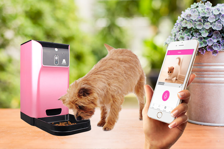 Smart pet feeder with HD webcam