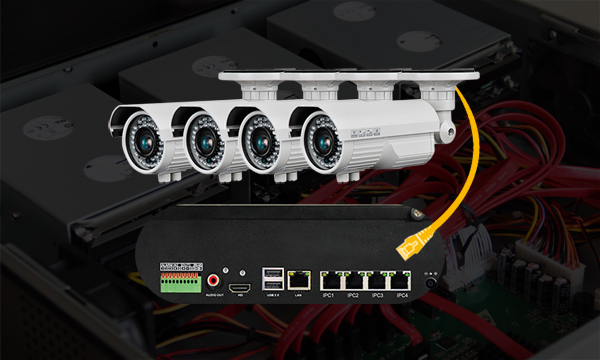 IP cameras connect to PoE NVR directly