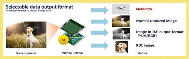 Sony IMX501 IMX500 AI Image Sensor Application Example