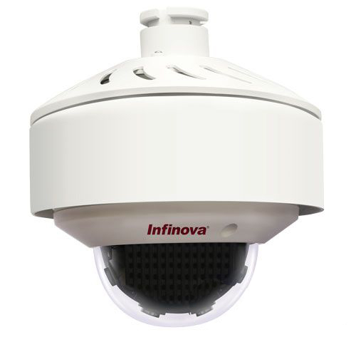 Infinova Network Dome Camera