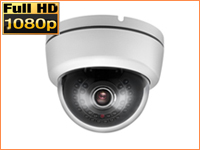 IP Dome Camera